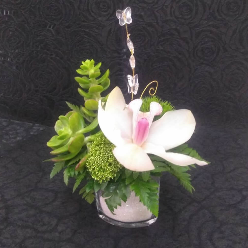 Mesa de dulce en México para eventos