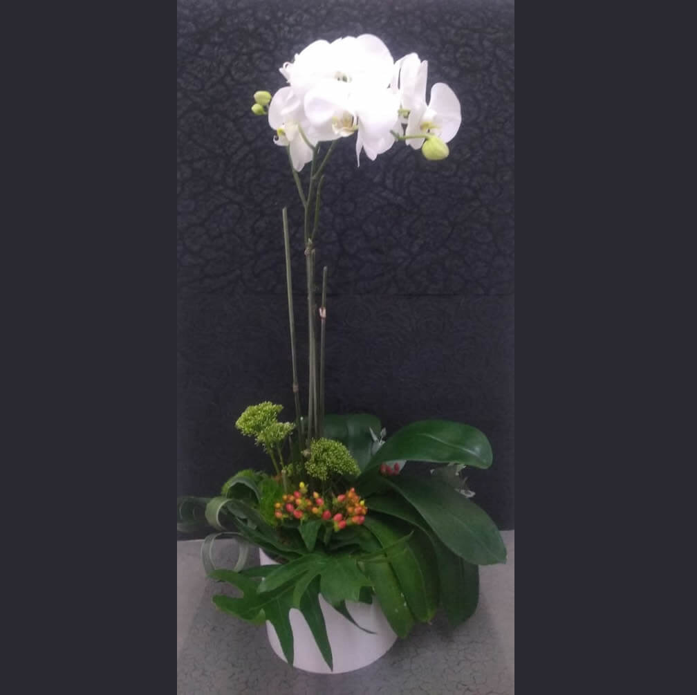 Mesa de dulce en México para eventos